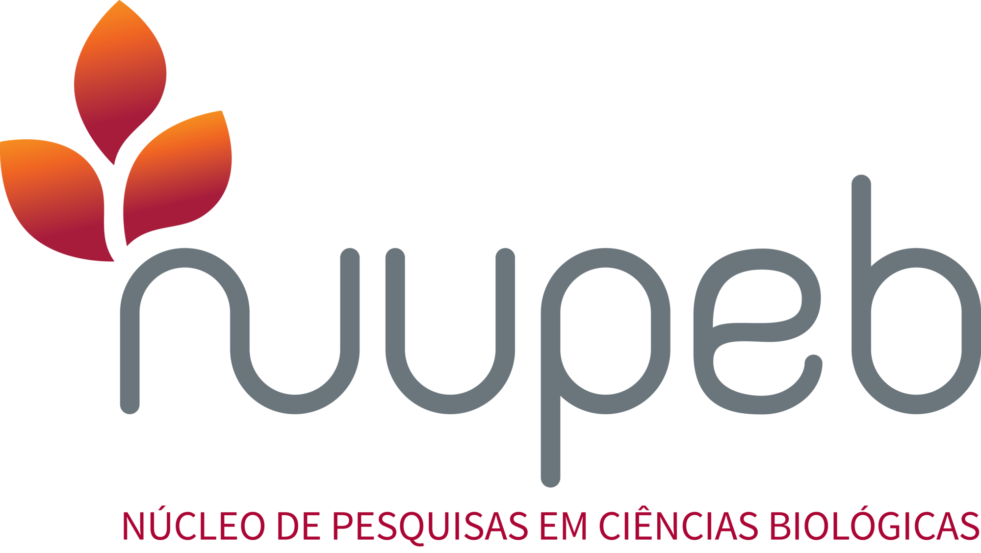 logo-nupeb2